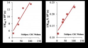 Jing Tan - Graph 2