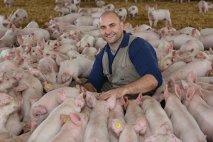 Will van Wettere and Pigs